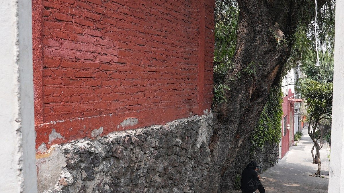 Terreno en Lomas de San Ángel Inn, Álvaro Obregón, foto 14 de 15