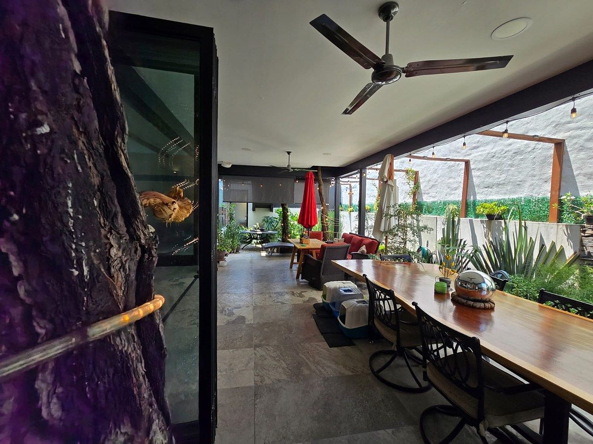 Casa en Bugambilias, Zapopan, foto 50 de 50