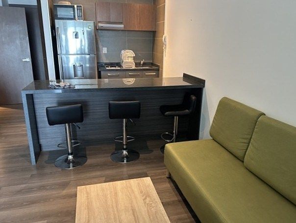 ALUGUEL DE APARTAMENTO MOBILIADO EM POLANCO, foto 1 de 12