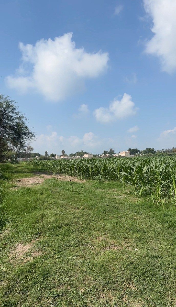 Commercial Lot in Concepción Del Valle, Tlajomulco de Zúñiga, photo 10 of 11