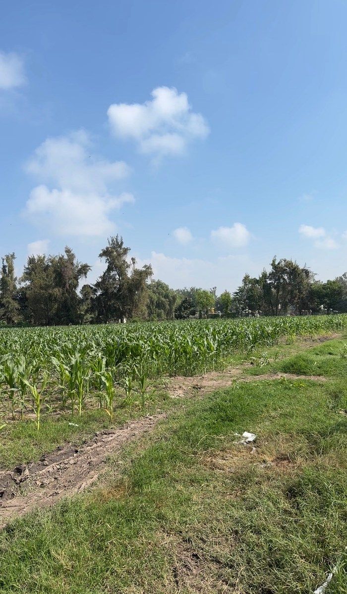 Commercial Lot in Concepción Del Valle, Tlajomulco de Zúñiga, photo 11 of 11