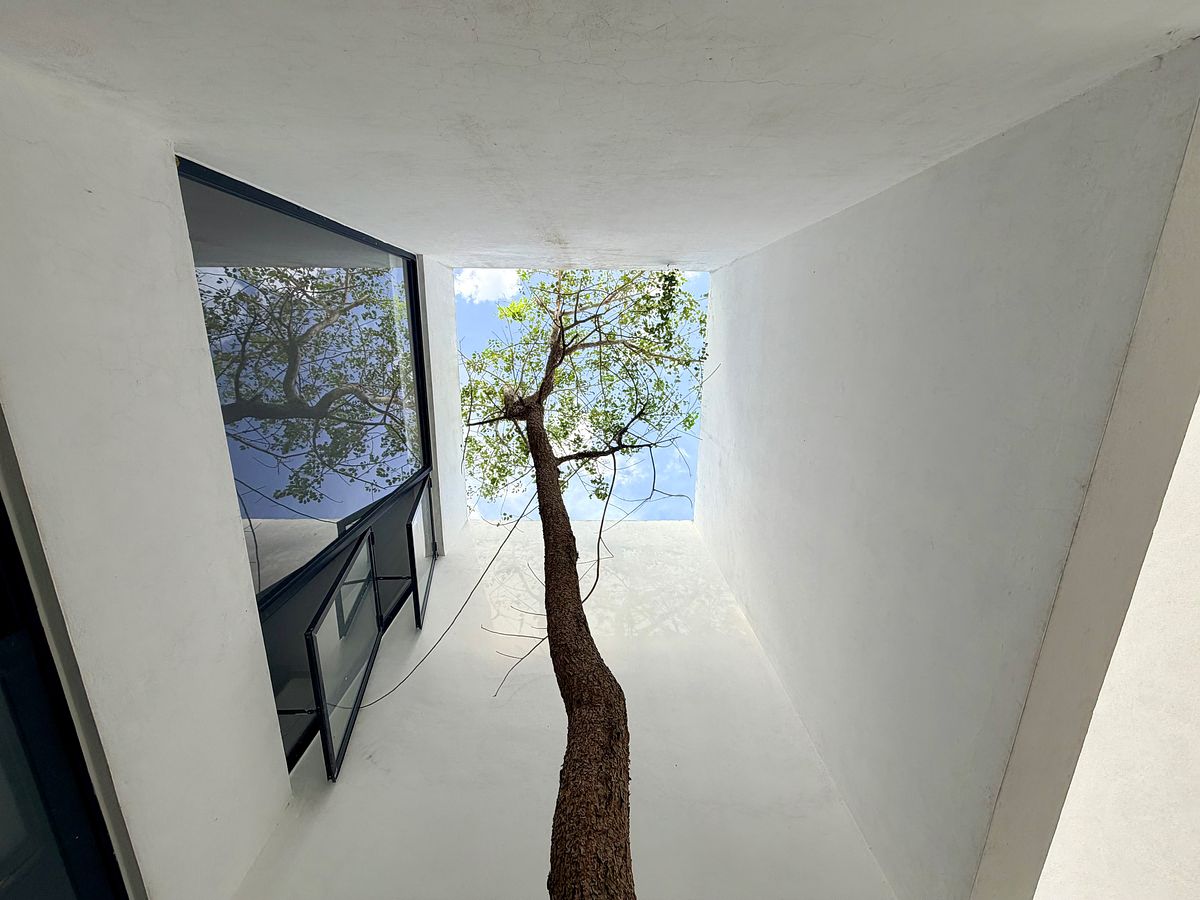 Casa en Parque Natura, Mérida, foto 30 de 47