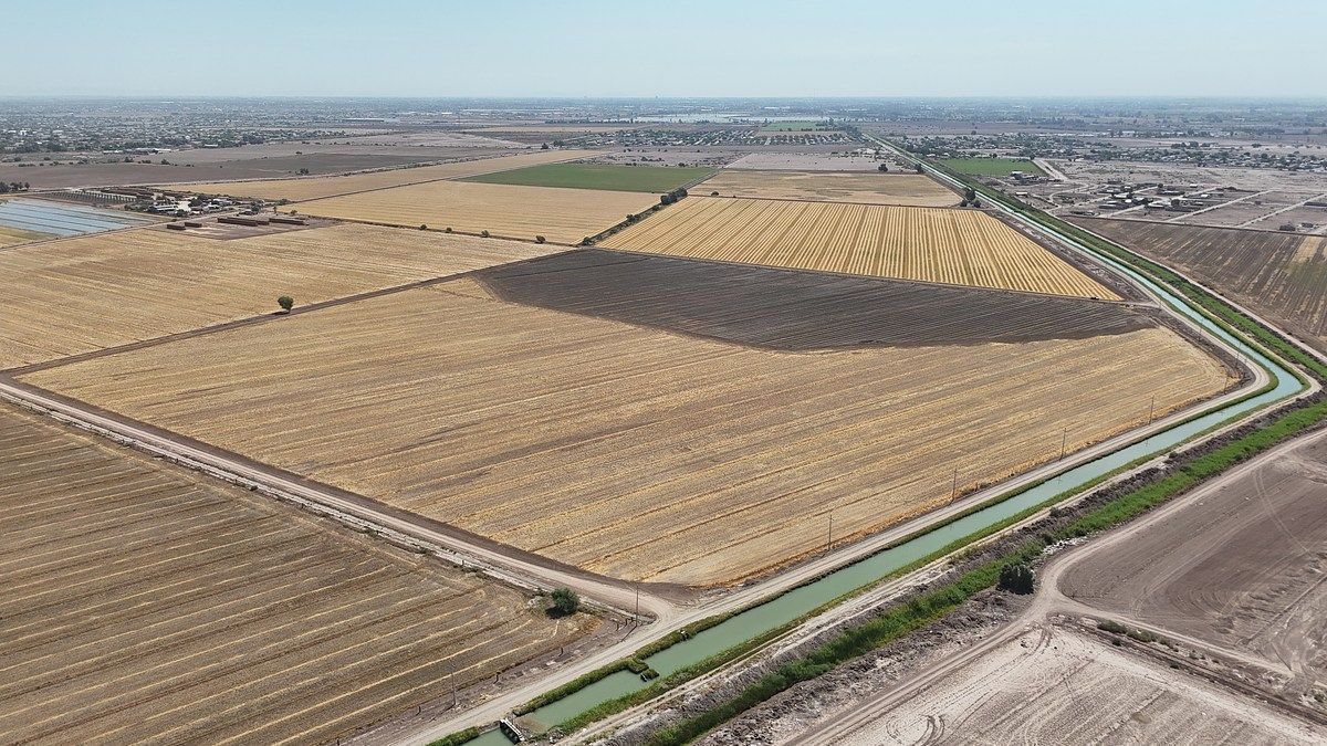 Lote em Progreso, Mexicali, foto 4 de 5