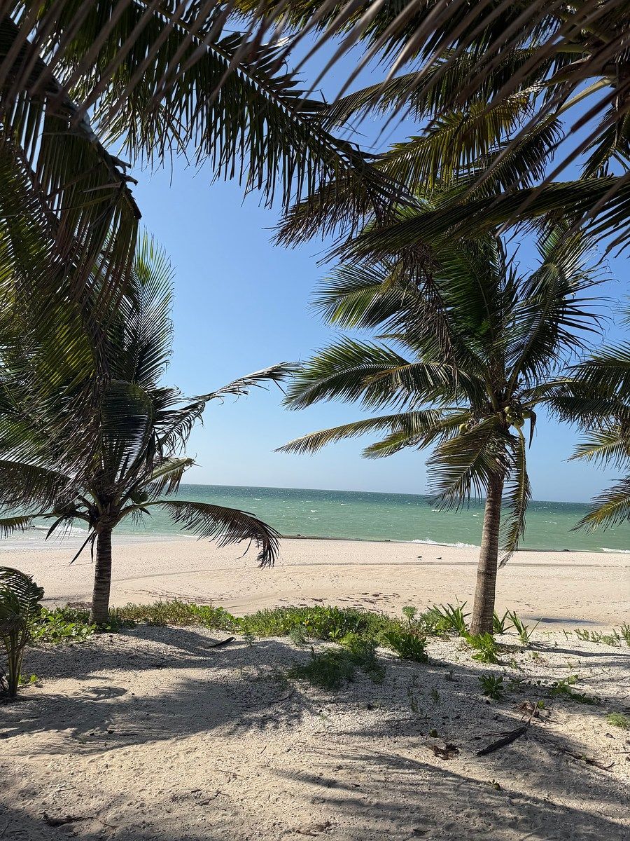 Casa em Chicxulub Puerto, Progreso, foto 34 de 43