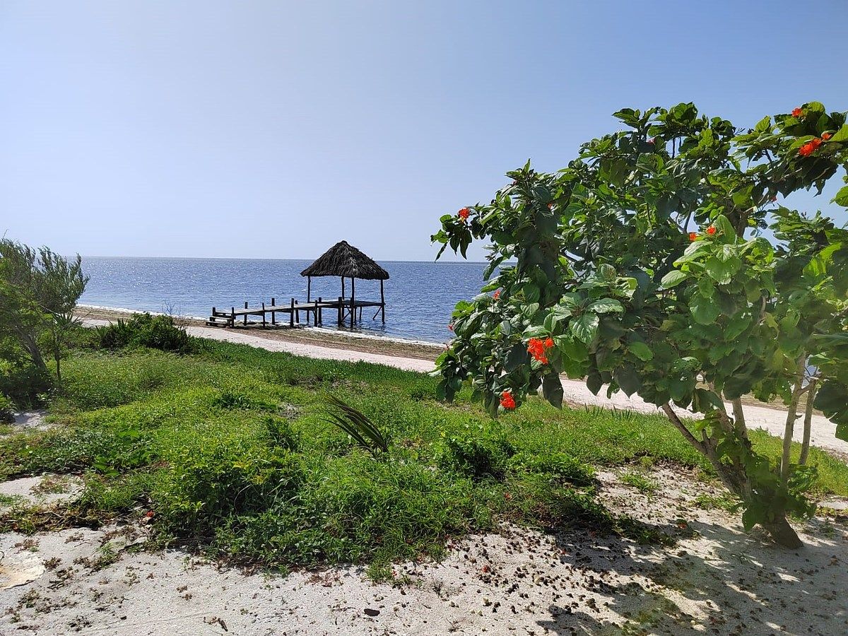 Casa em Dzilam de Bravo, Dzilam de Bravo, foto 15 de 49