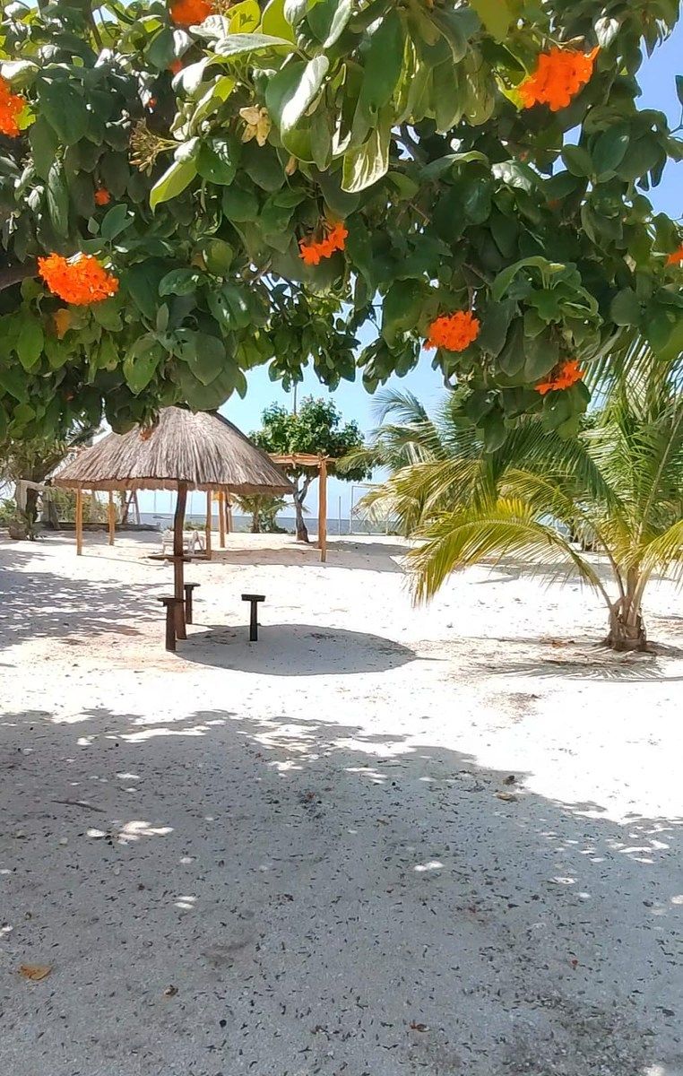 Casa em Dzilam de Bravo, Dzilam de Bravo, foto 14 de 49