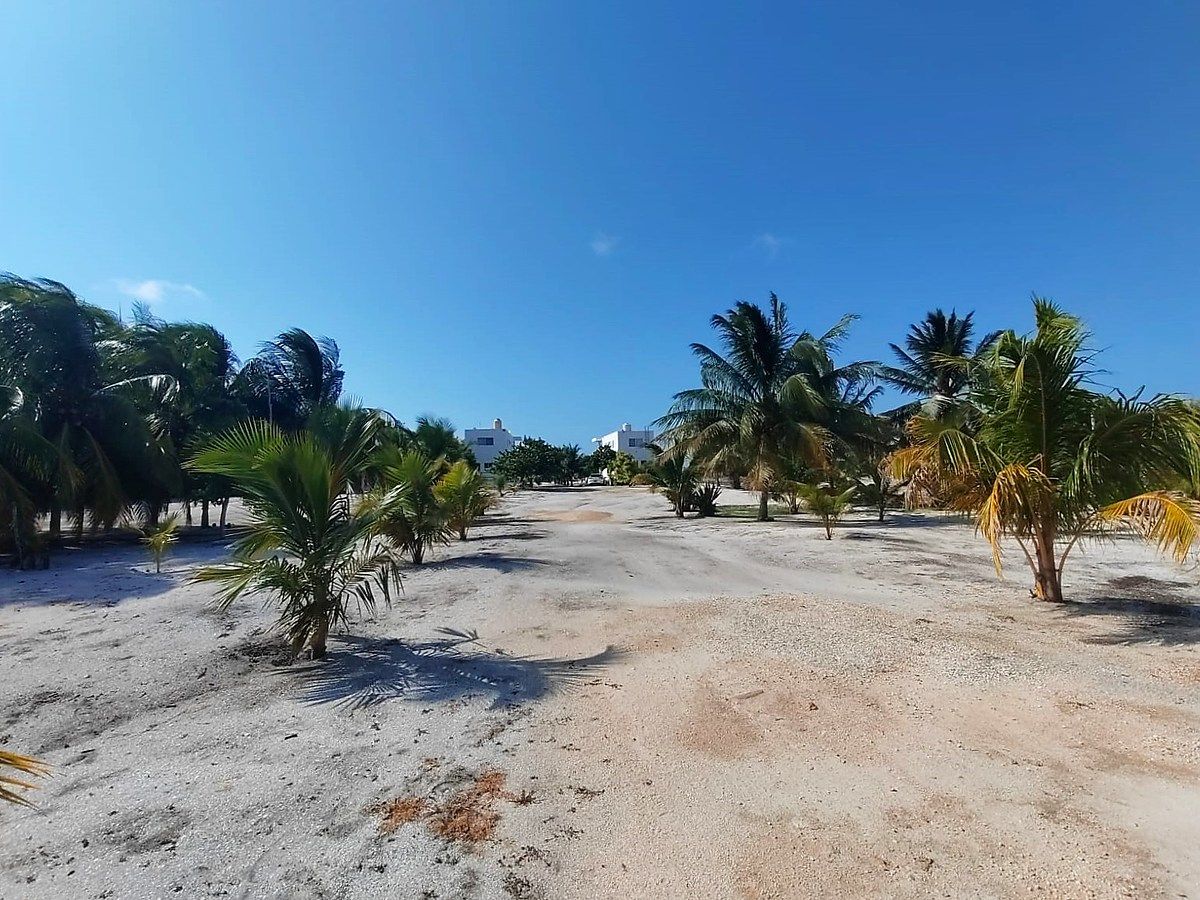 Casa em Dzilam de Bravo, Dzilam de Bravo, foto 17 de 49