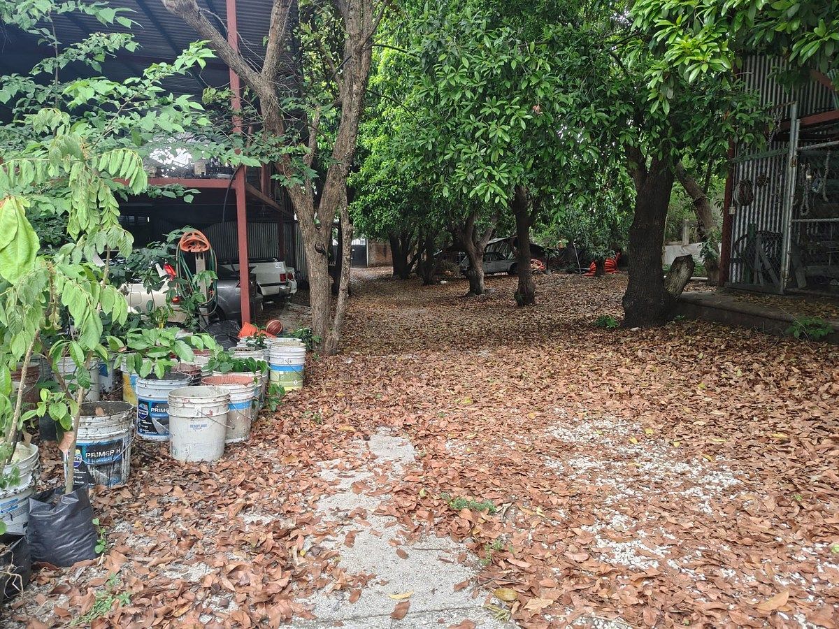 Bodega comercial en Niño de Atocha, Tuxtla Gutiérrez, foto 6 de 10