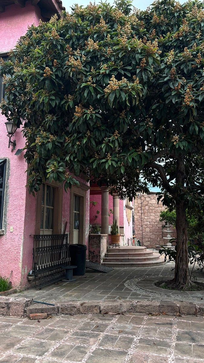 Casa com uso comercial em La Lejona, San Miguel de Allende, foto 14 de 27