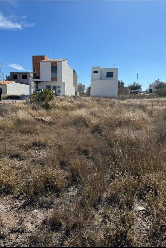 Terreno Plano 202.26, foto 4 de 14