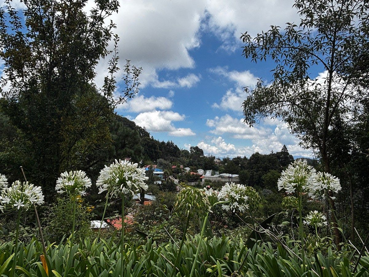 Terreno comercial en Carboneras, Mineral del Chico, foto 4 de 5