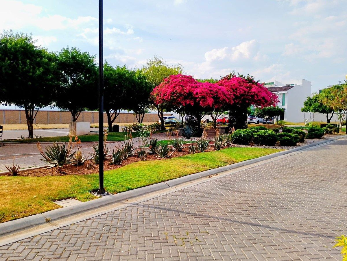 Lote em Residencial las Plazas, Aguascalientes, foto 7 de 7