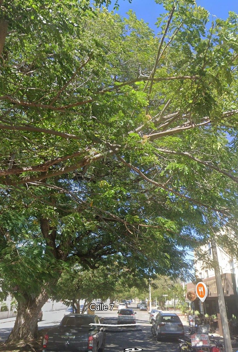 Oficina en Campestre, Mérida, foto 2 de 8