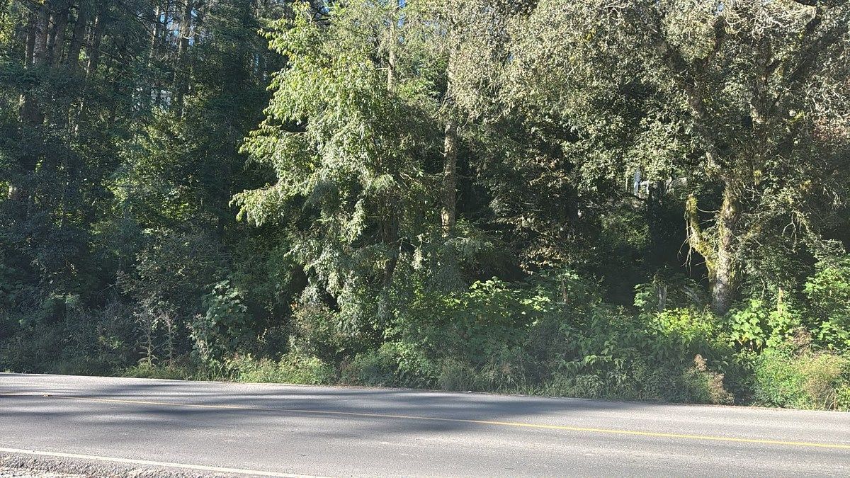 LAND FOR SALE PUEBLO NUEVO, photo 1 of 8