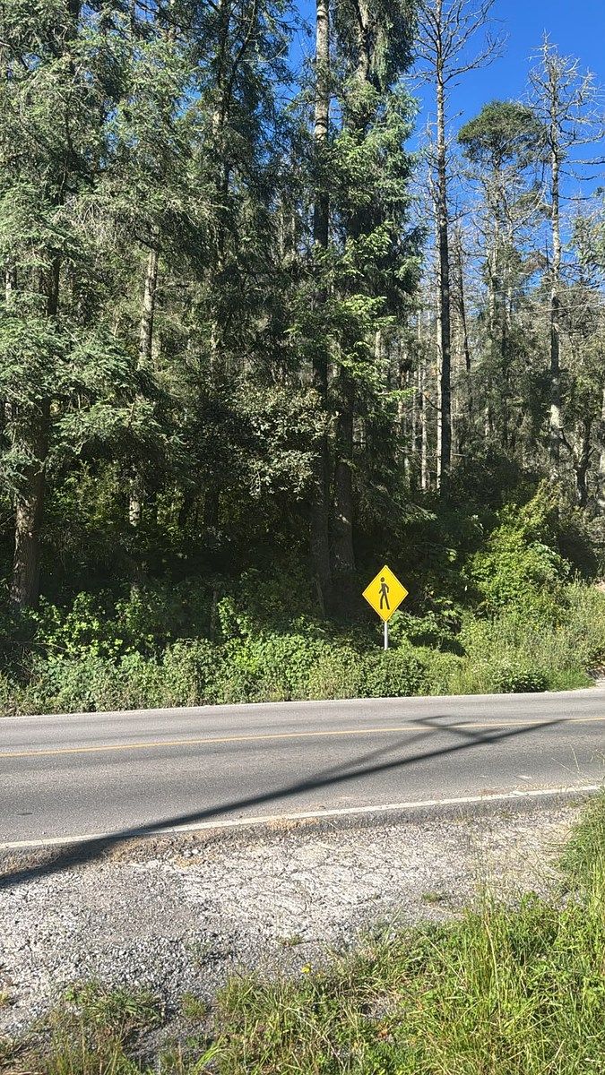 Lot in El Calvario, Mineral del Chico, photo 5 of 8