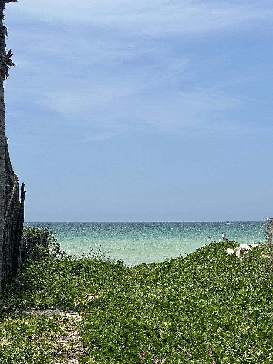 Terreno de 485m2 na praia de San Benito, Yucatán, foto 1 de 12