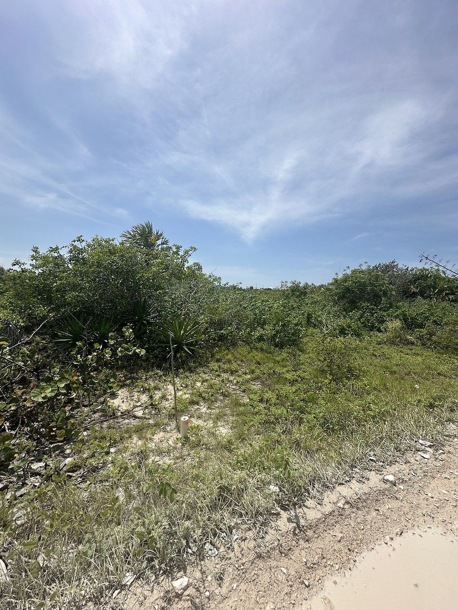 Lote em San Benito, Dzemul, foto 2 de 12