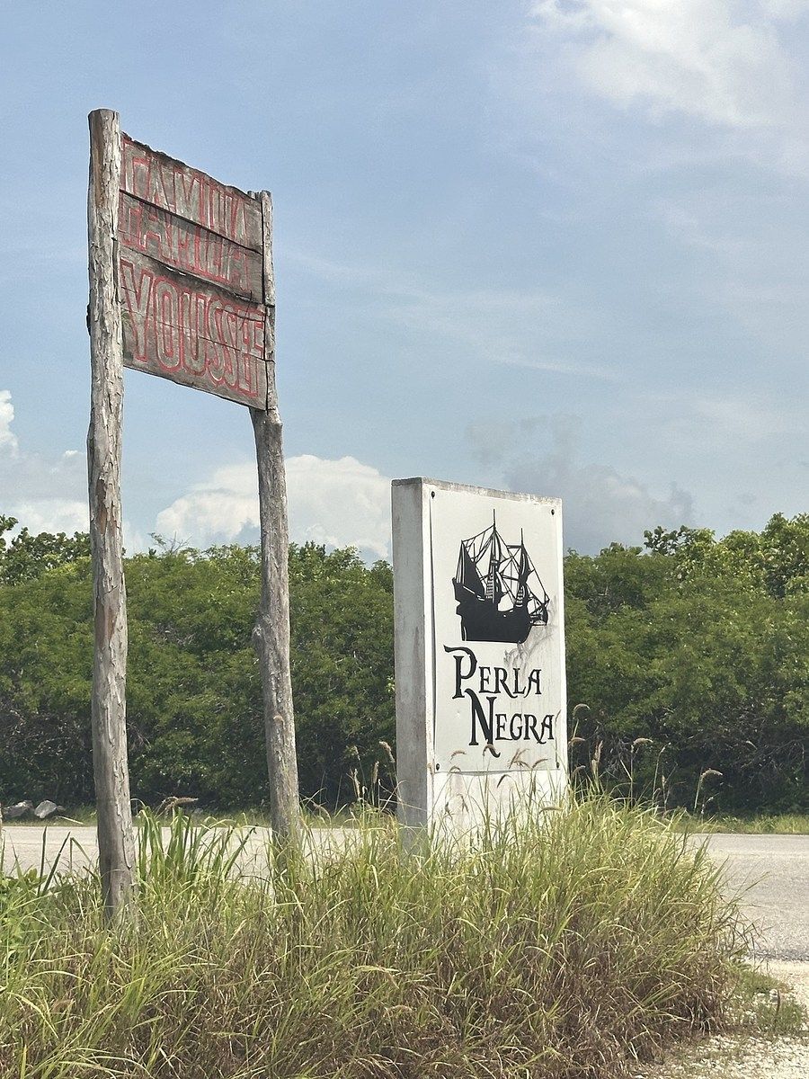 Lote em San Benito, Dzemul, foto 3 de 12