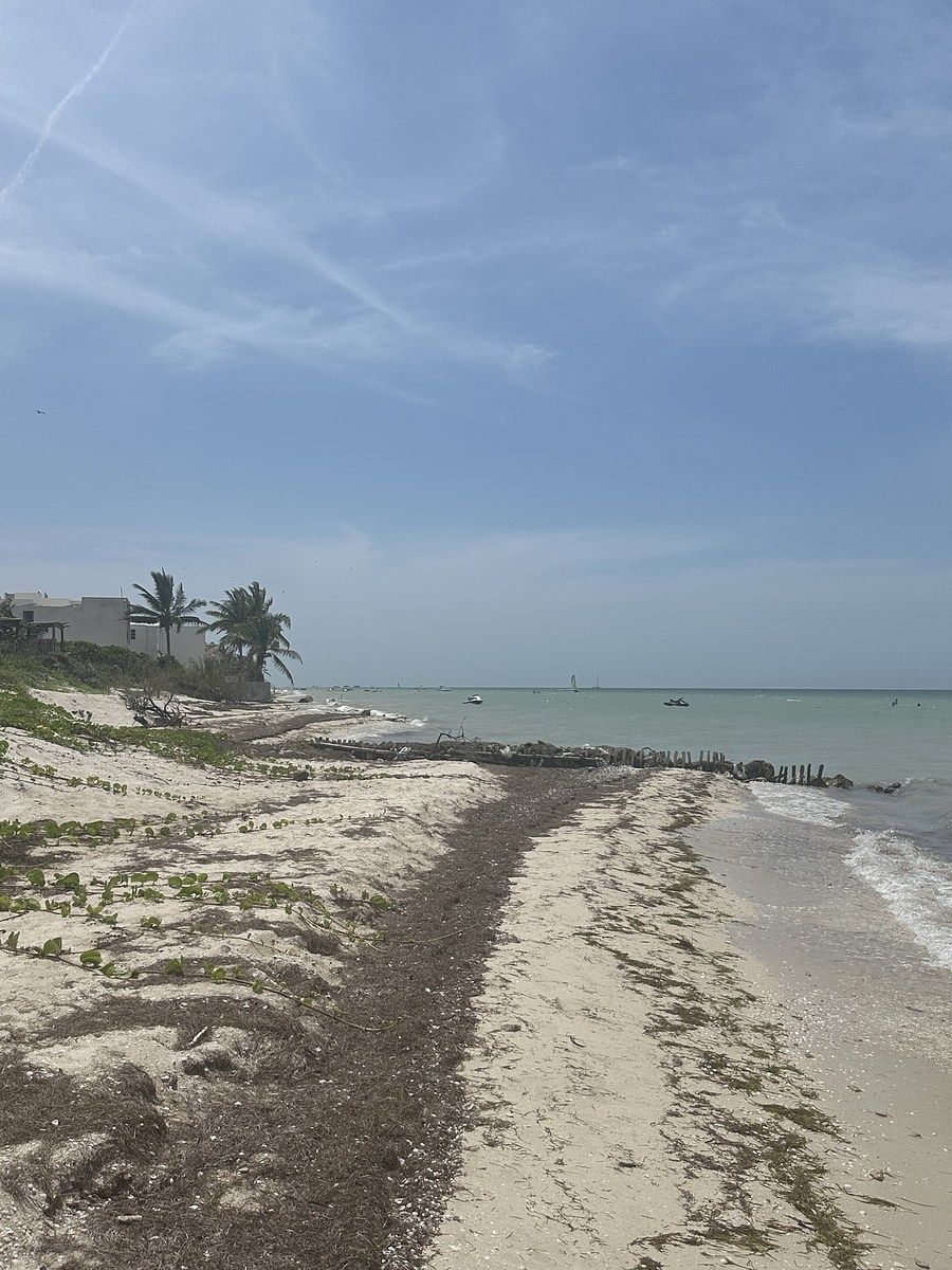 Lote em San Benito, Dzemul, foto 5 de 12