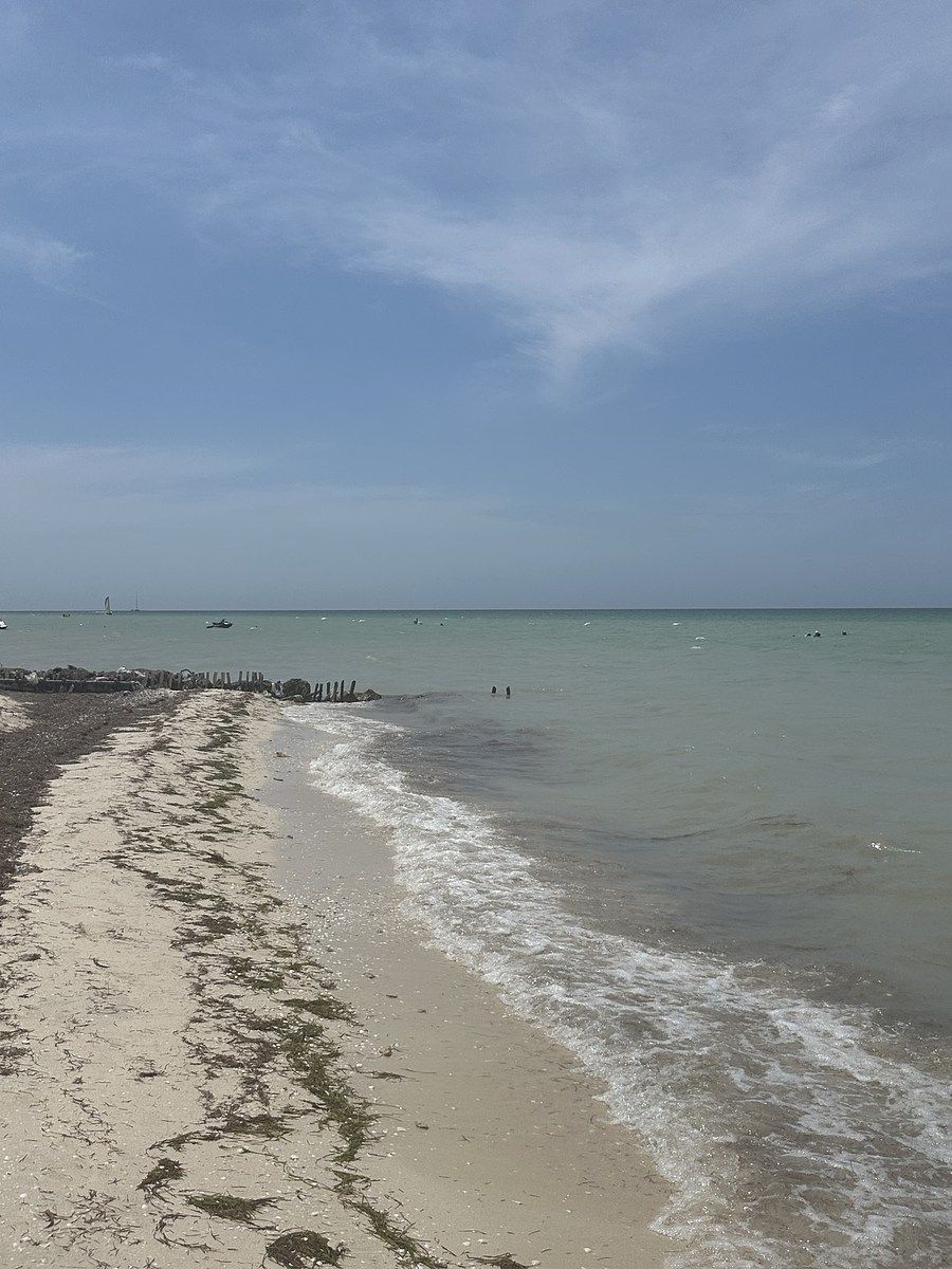 Lote em San Benito, Dzemul, foto 6 de 12