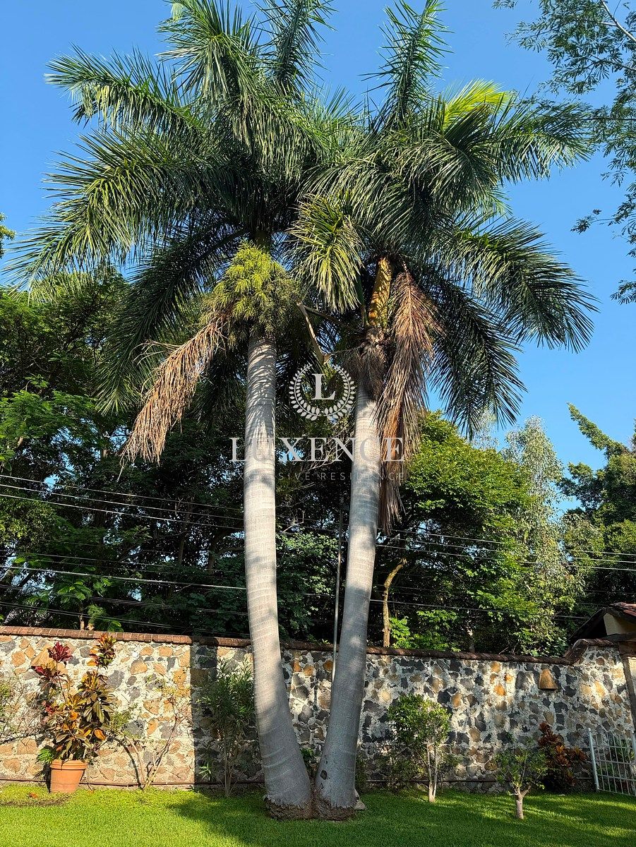 Casa em Huertas del Llano, Jiutepec, foto 15 de 36