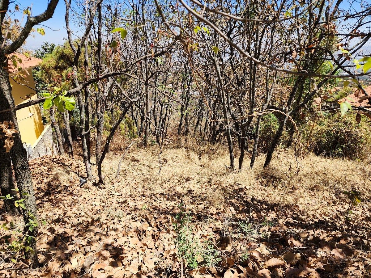 Lote em El Palomar, Tlajomulco de Zúñiga, foto 2 de 6