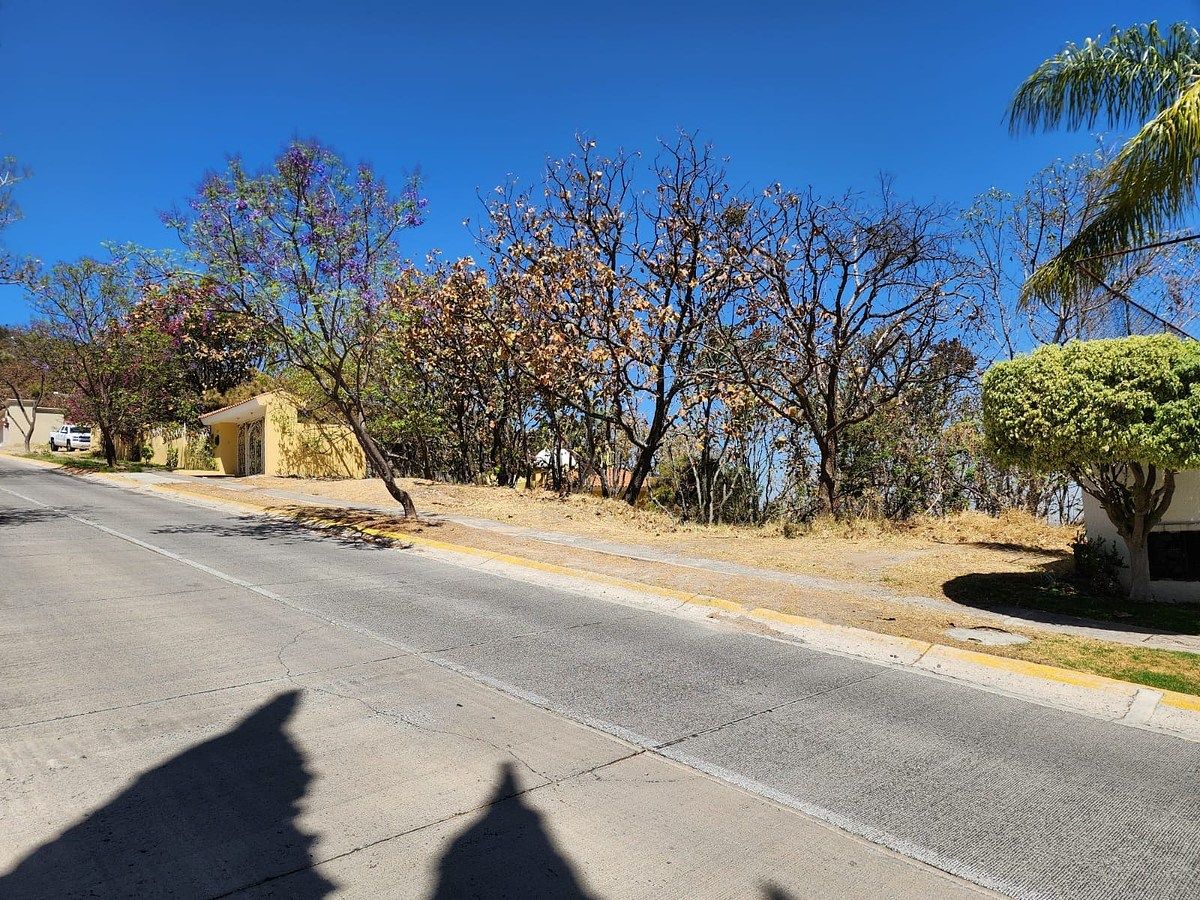 Lote em El Palomar, Tlajomulco de Zúñiga, foto 5 de 6