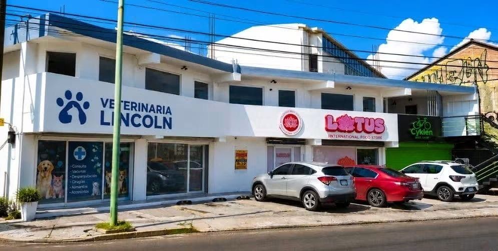 Retail Space in Mitras Norte, Monterrey, photo 11 of 11