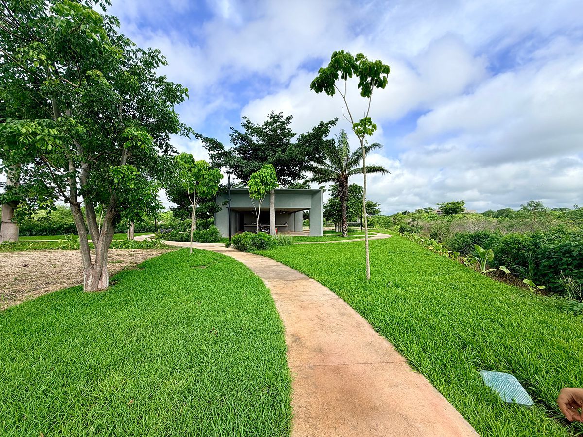 Terreno en Tixcuytún, Mérida, foto 5 de 42