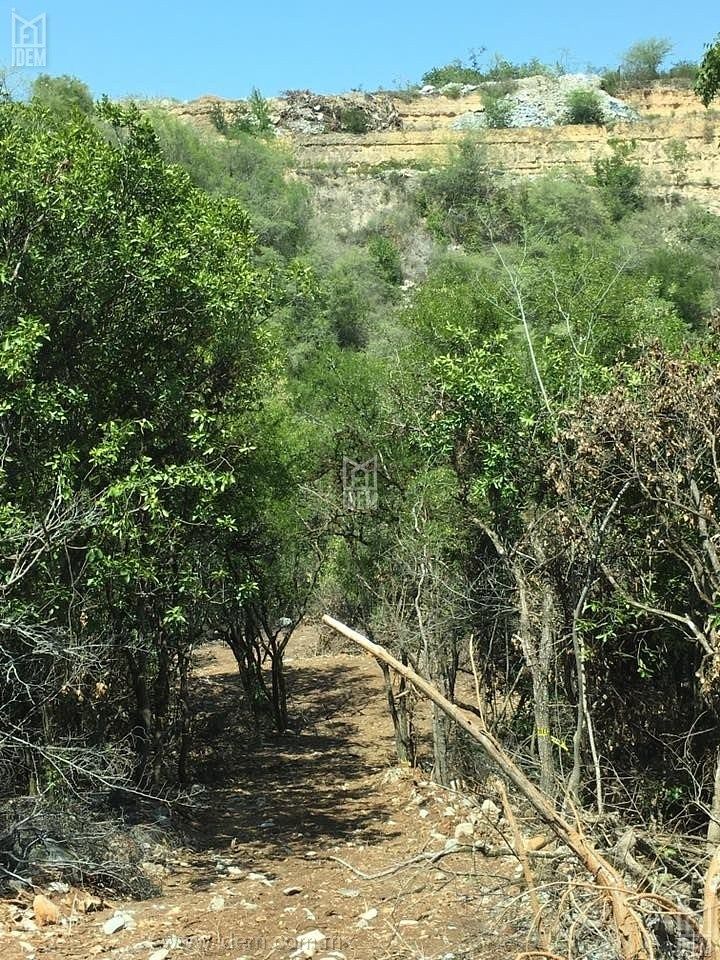 Lote em El Barrial, Santiago, foto 4 de 6