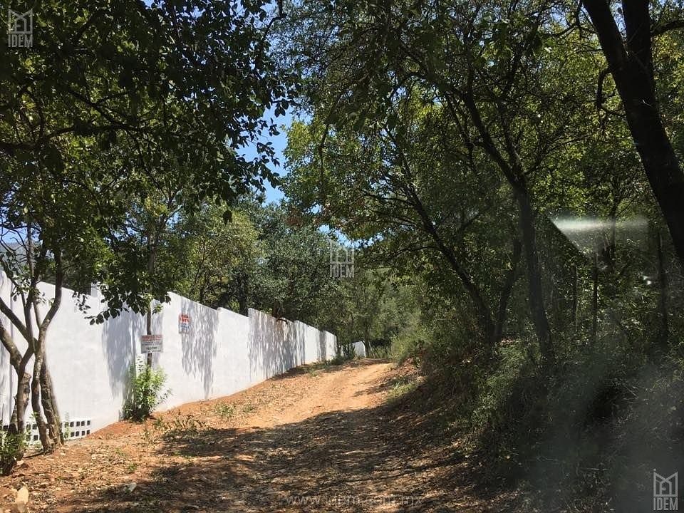 Terreno en Los Rodriguez, Santiago, foto 3 de 9