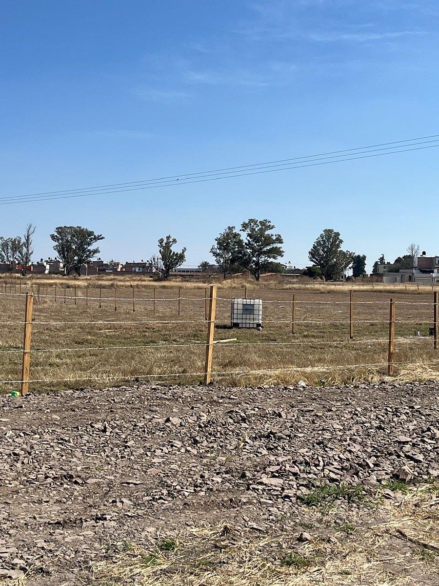 Lote em San Miguel El Alto Centro, San Miguel el Alto, foto 9 de 11