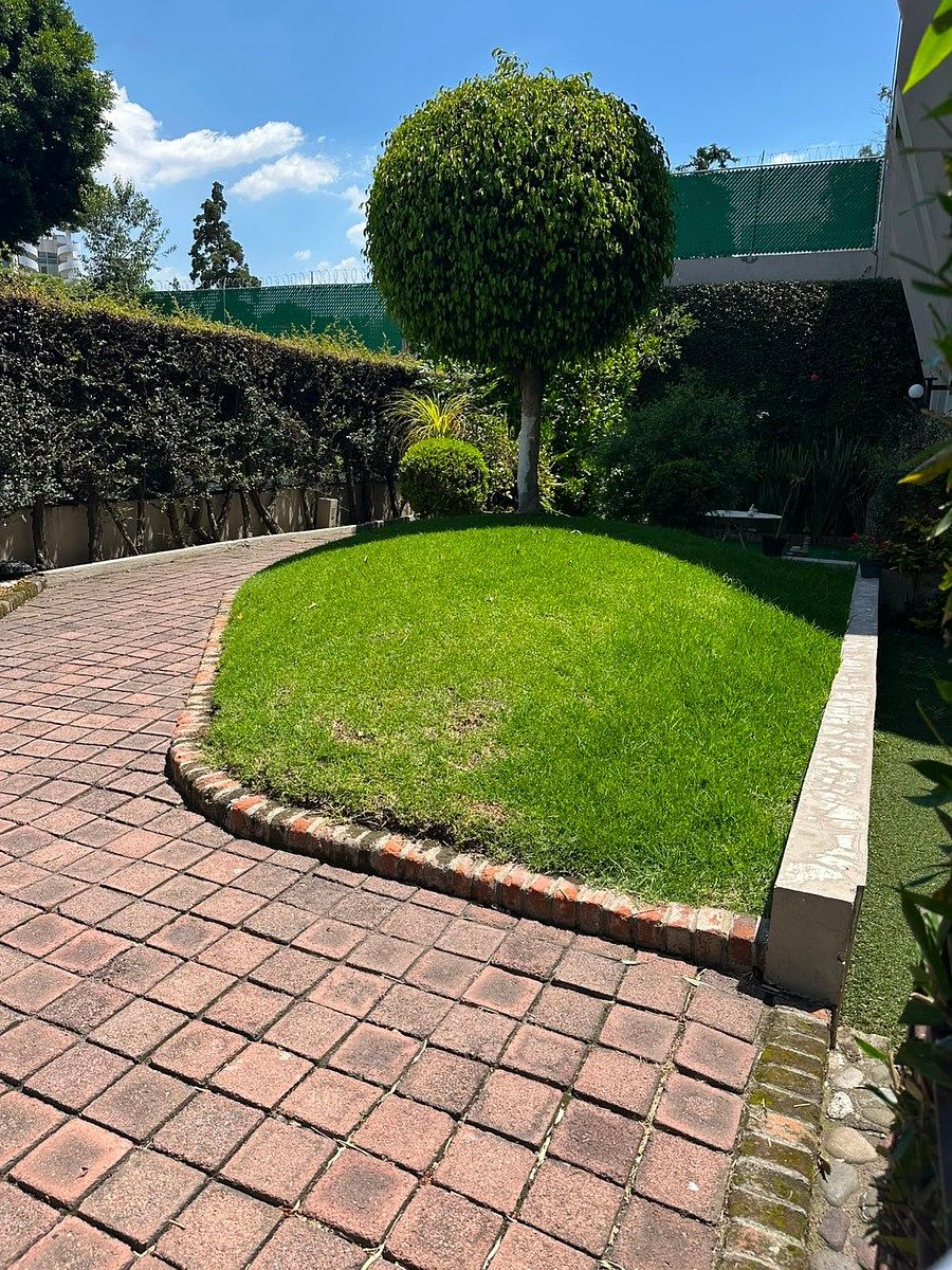 Casa em condomínio fechado em Ampliación Las Aguilas, Álvaro Obregón, foto 18 de 29