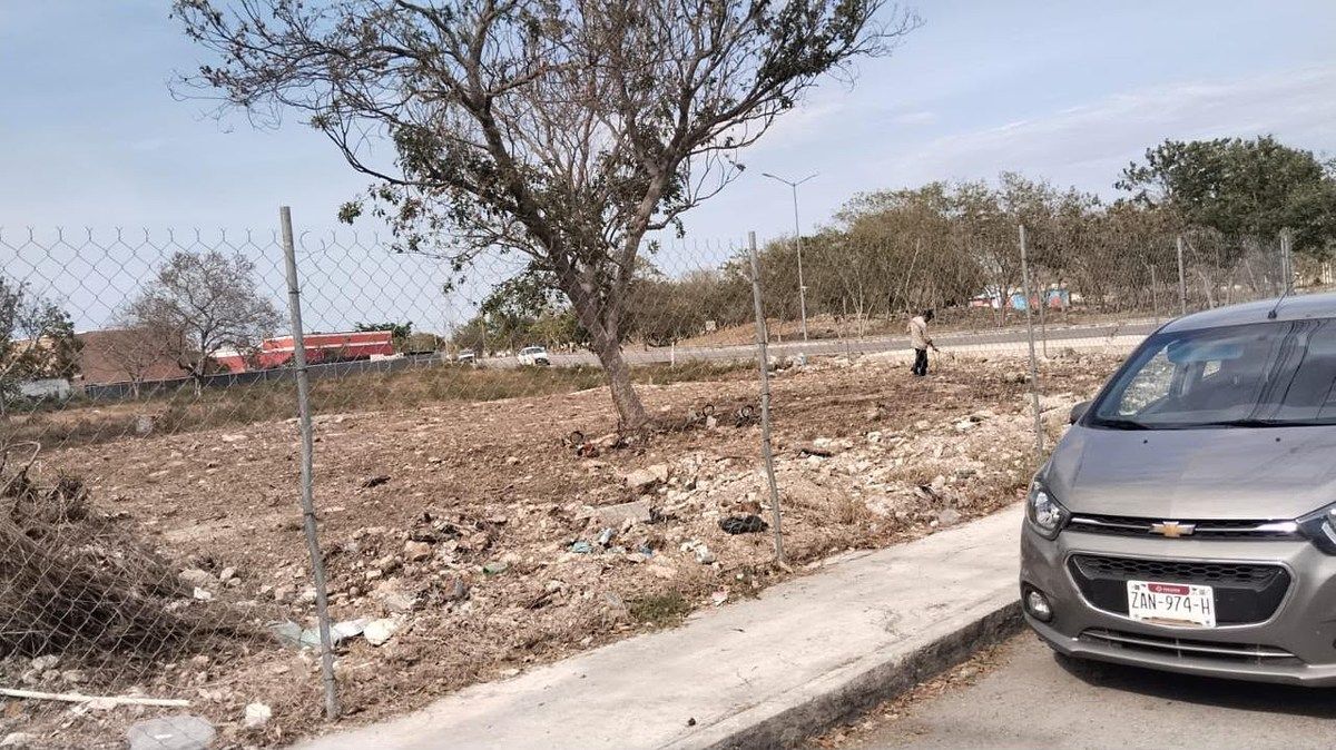 TERRENO COMERCIAL, foto 1 de 4
