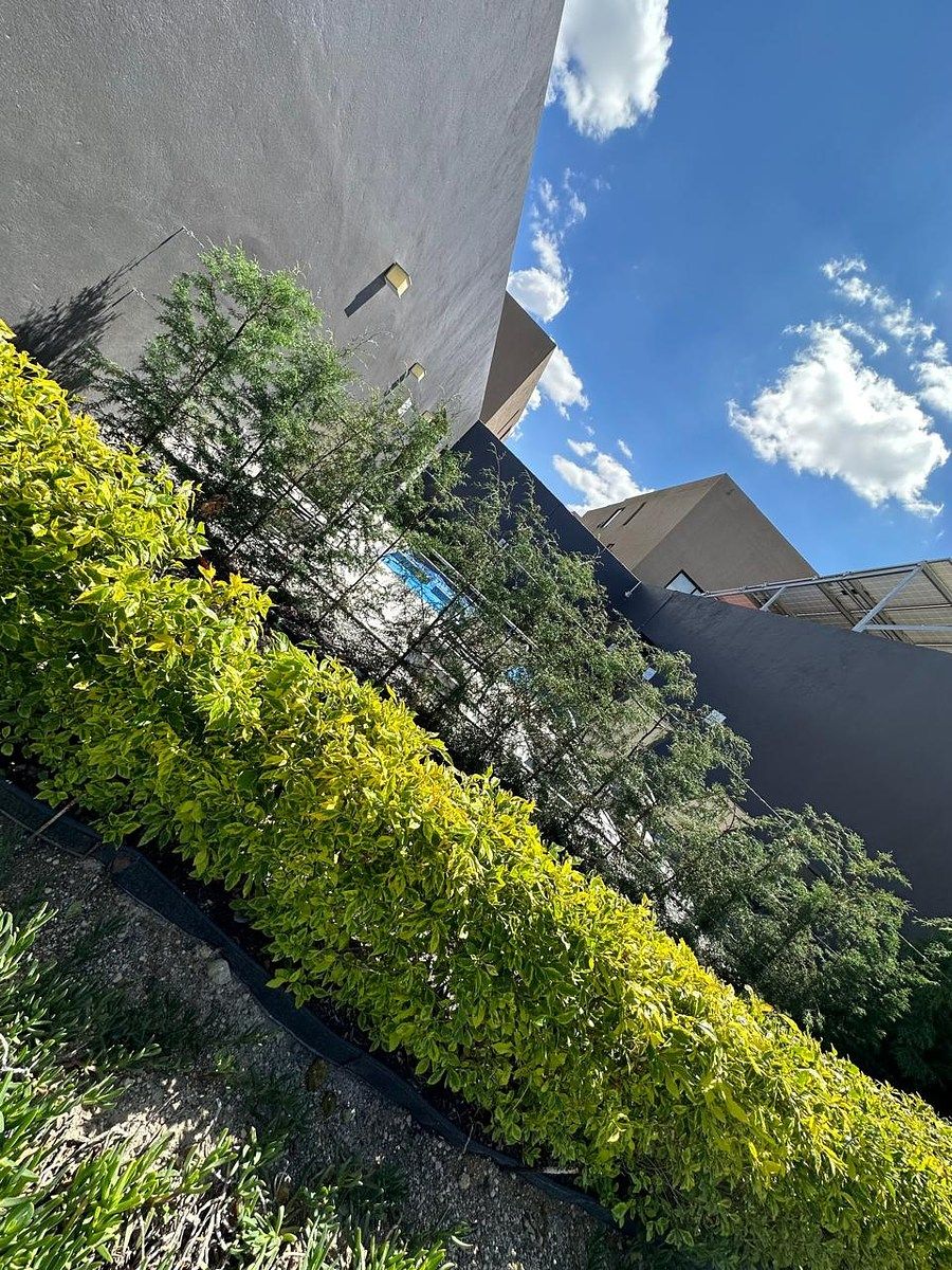 Casa em El Marqués, Querétaro, foto 30 de 33