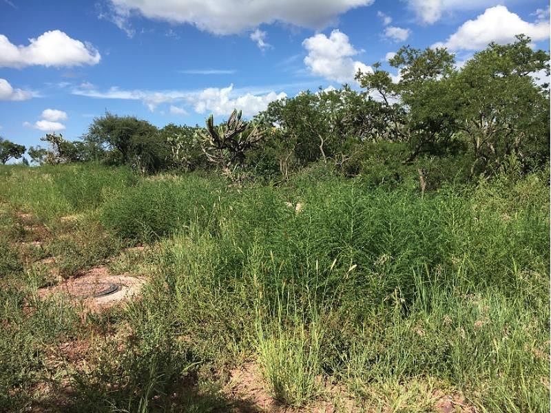 LAND WITH MIXED LAND USE, MADERAS CITY QUERÉTARO, EL MARQUÉS, photo 1 of 3