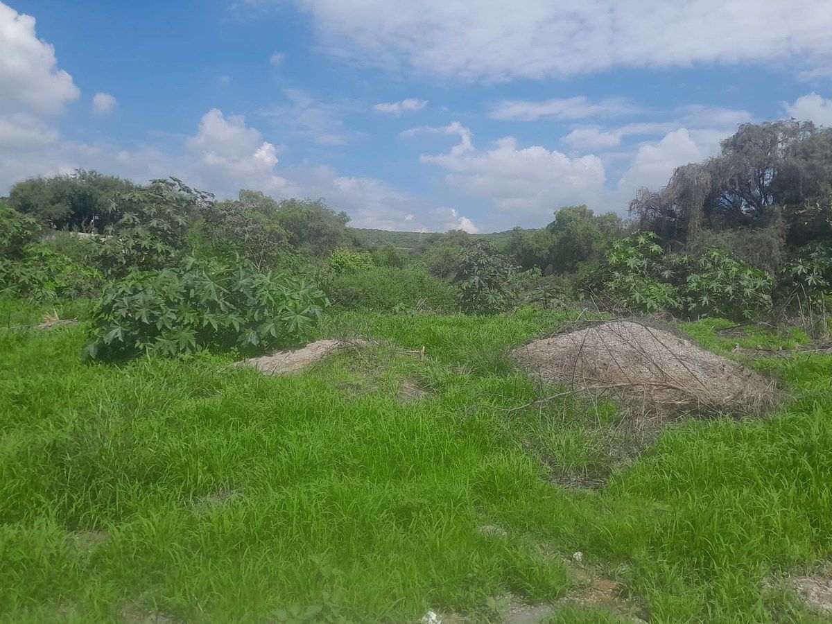 Lote em Acequia Blanca, Querétaro, foto 6 de 18