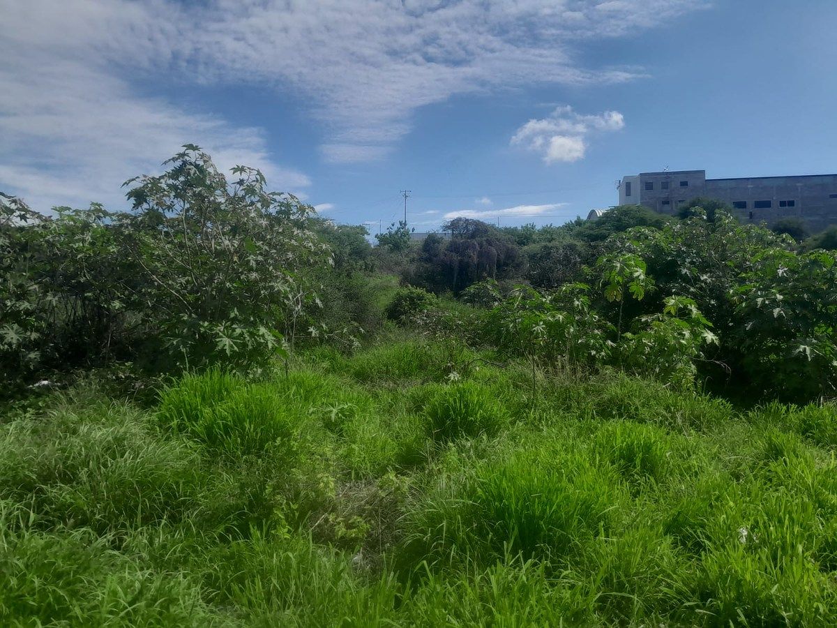 Lote em Acequia Blanca, Querétaro, foto 3 de 18