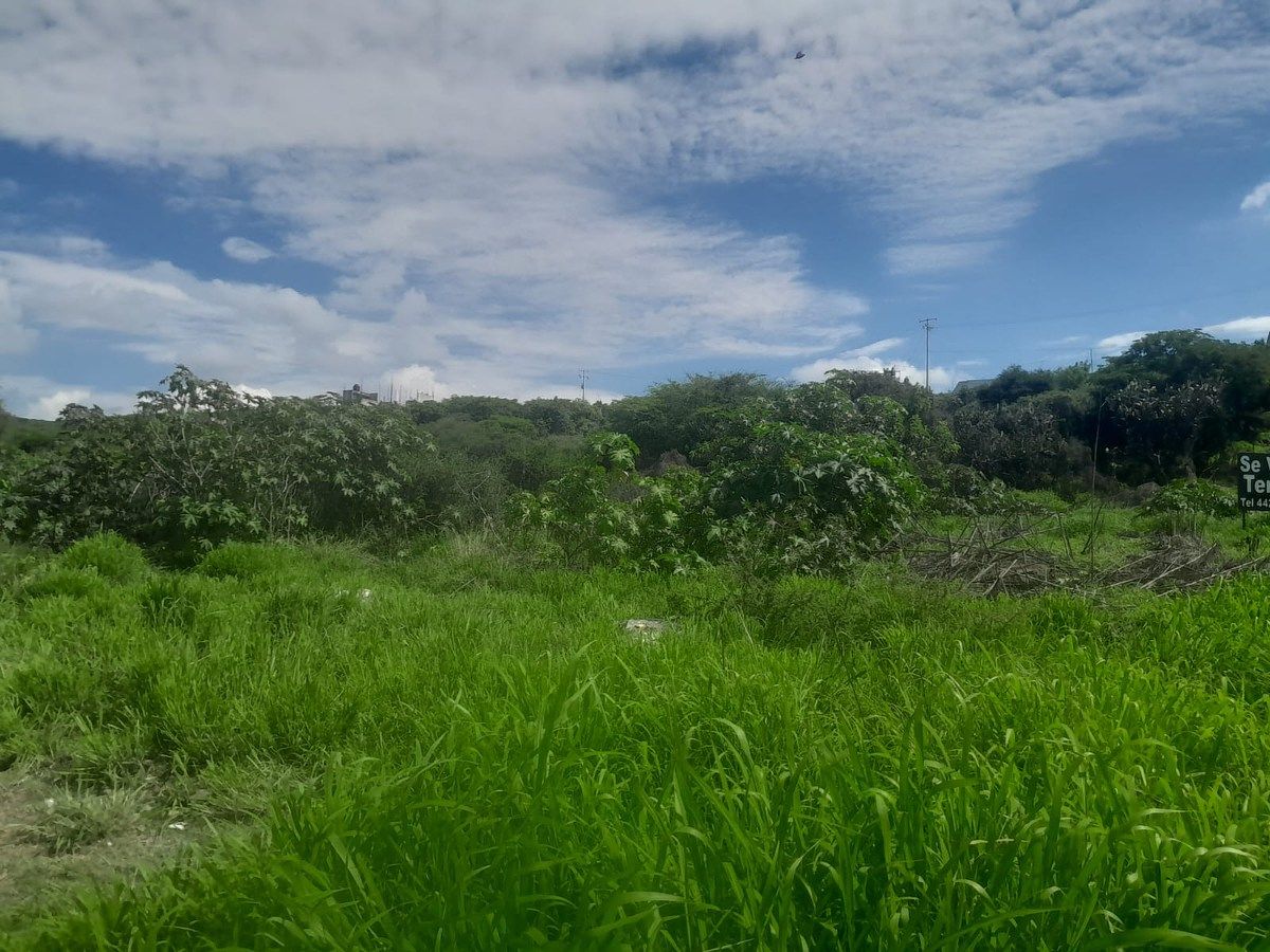 Lote em Acequia Blanca, Querétaro, foto 8 de 18