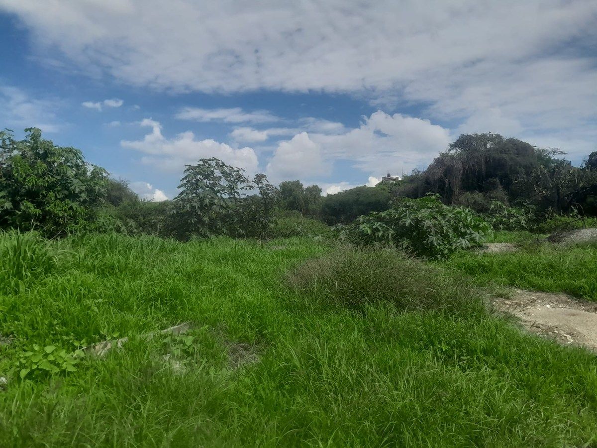 Lote em Acequia Blanca, Querétaro, foto 11 de 18