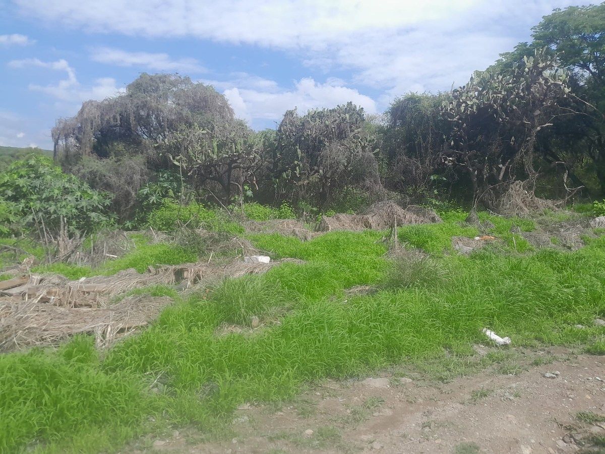 Lote em Acequia Blanca, Querétaro, foto 14 de 18