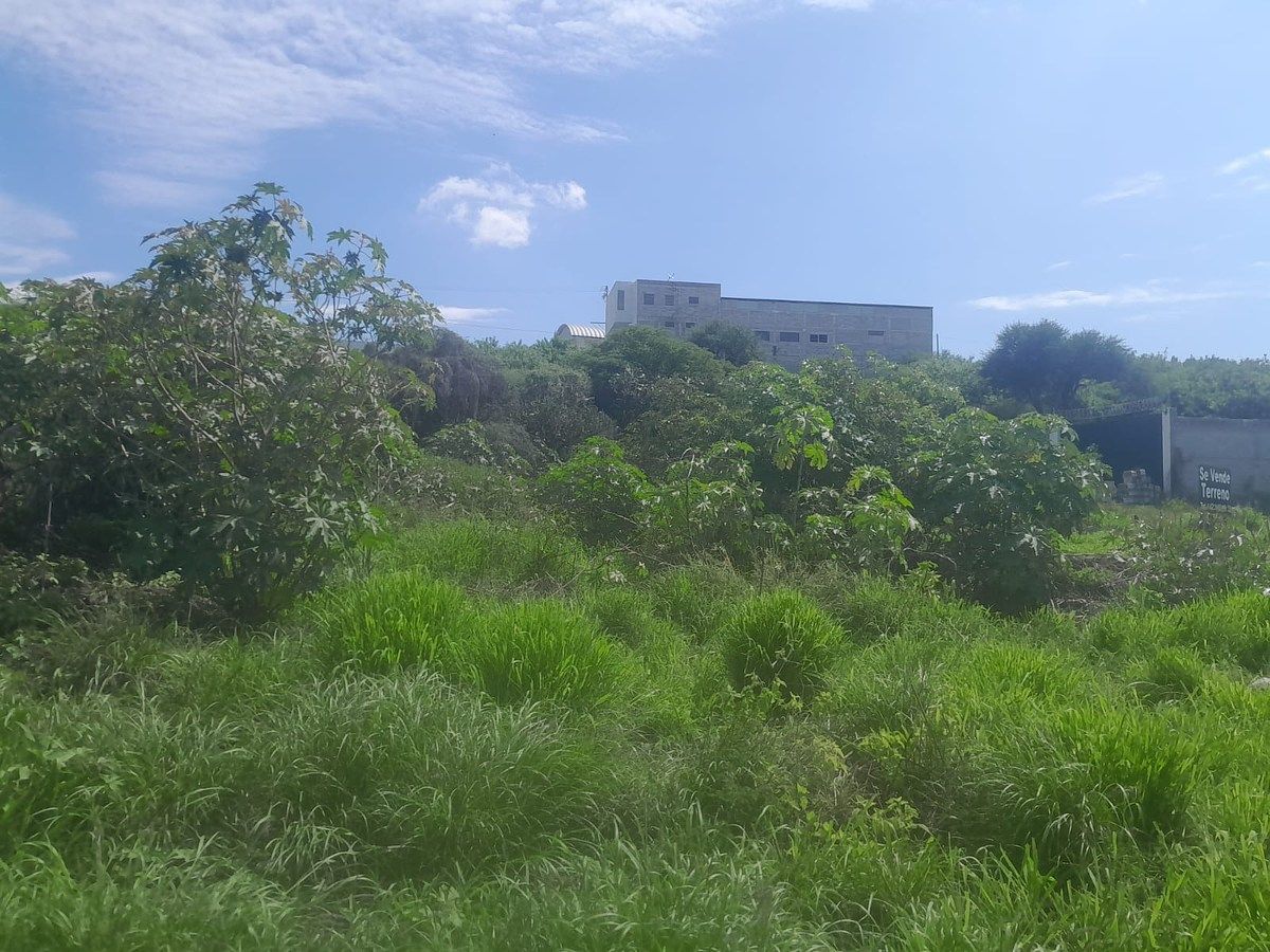 Lote em Acequia Blanca, Querétaro, foto 16 de 18
