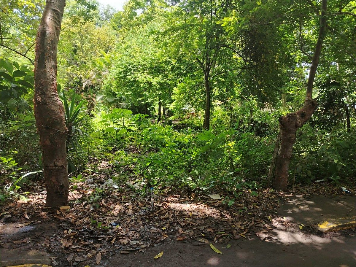 Terreno de 200 m2 en venta en El Tejar. MEDELLÍN, VERACRUZ
