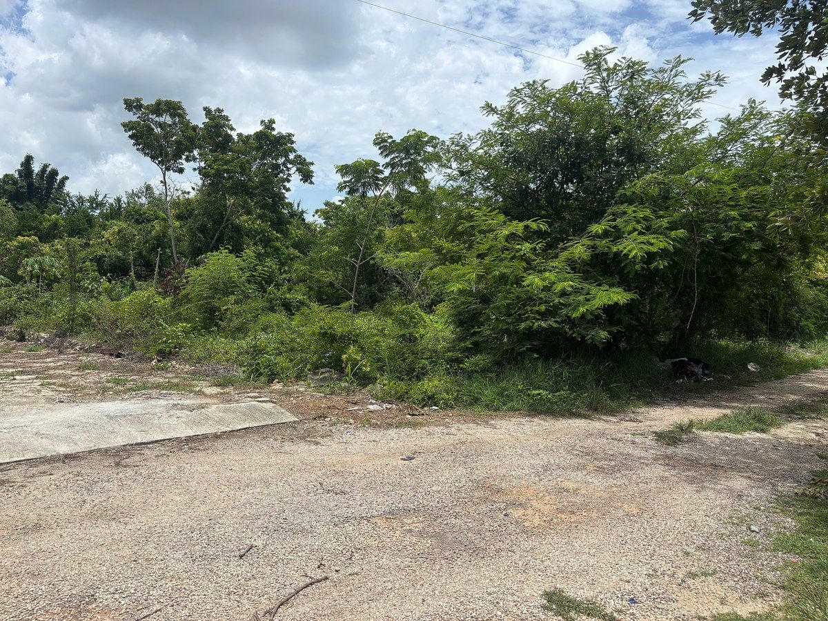 Terreno en Dzityá, Mérida, foto 4 de 7