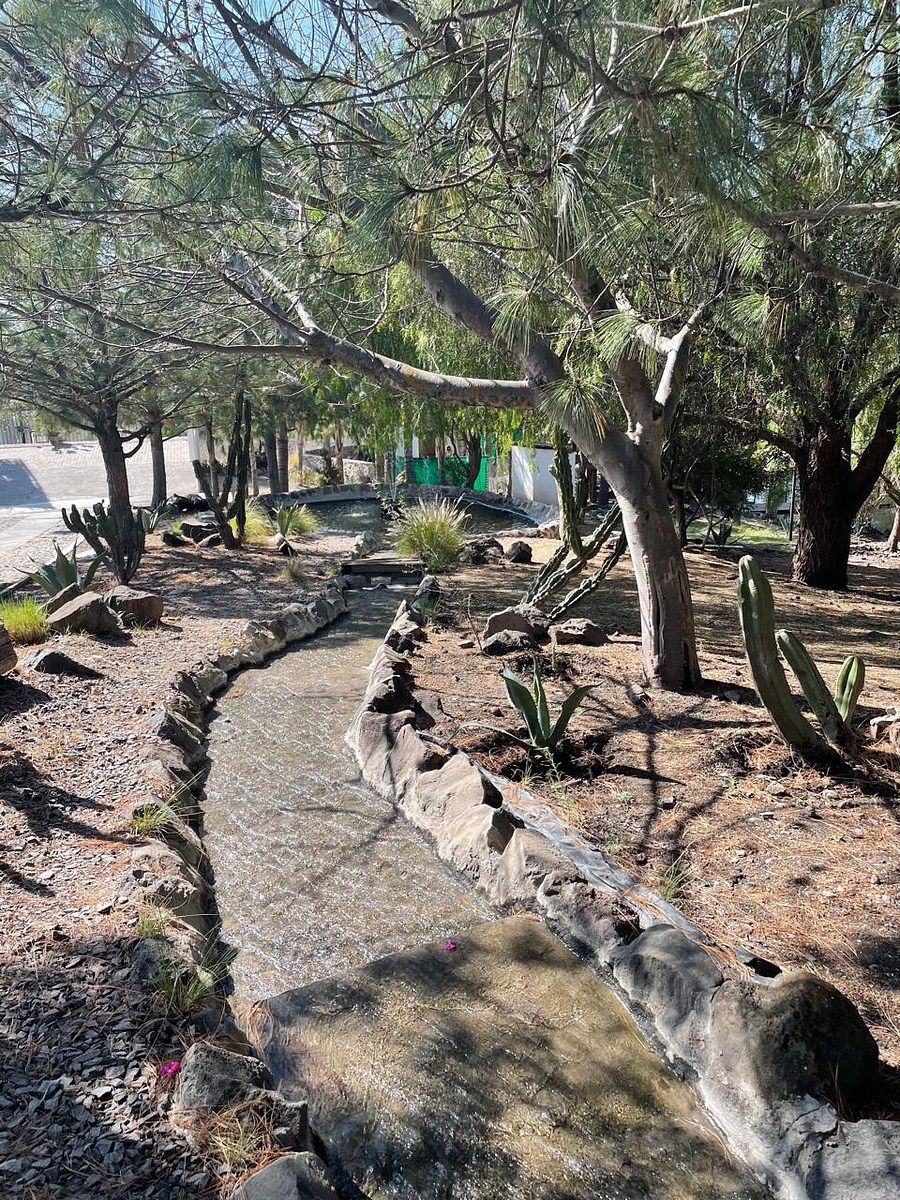 Lot in Vista Real y Country Club, Corregidora, photo 11 of 13