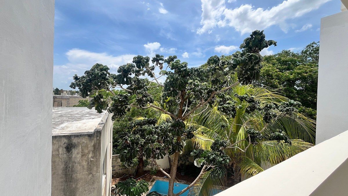 Departamento en Montebello, Mérida, foto 11 de 19