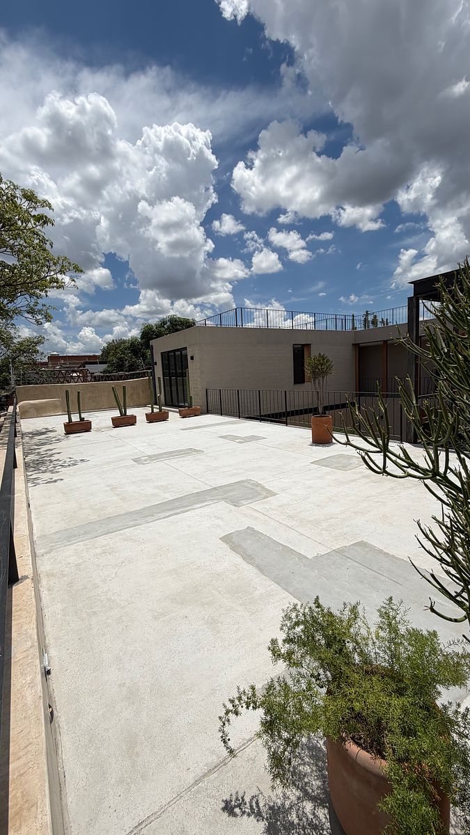 Terraza Común, foto 9 de 19