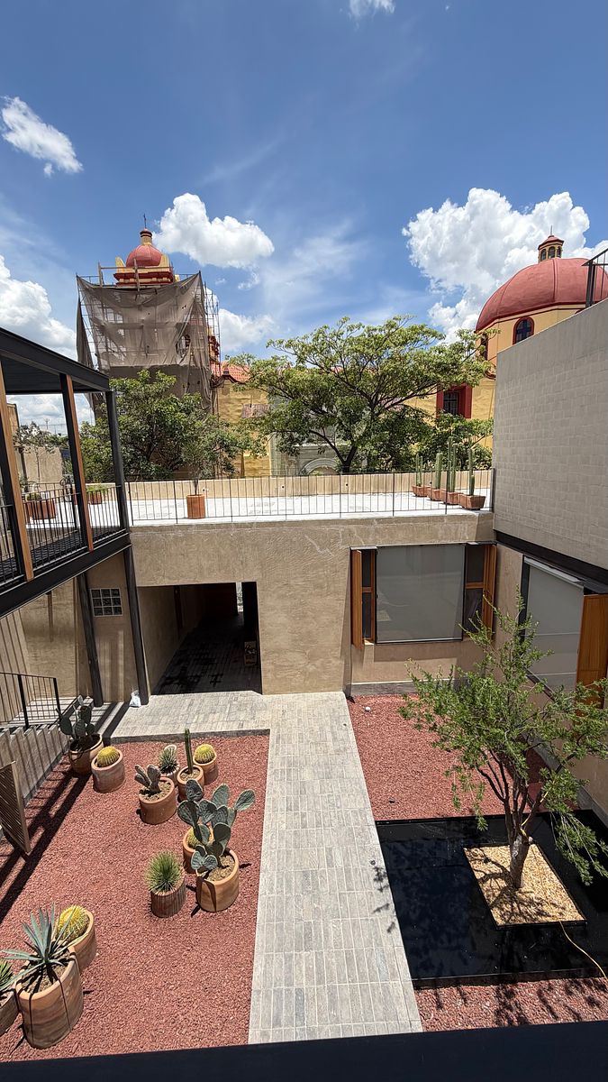 Terraza Común, foto 10 de 19
