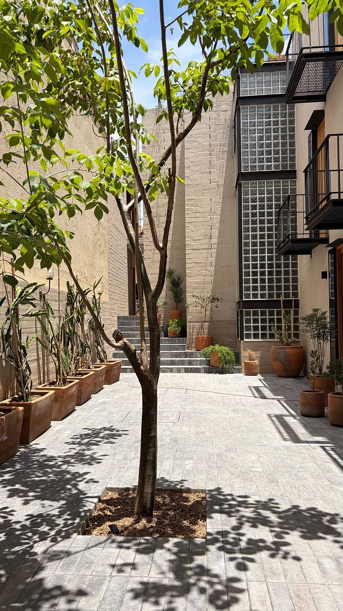 Apartamento em Oaxaca Centro, Oaxaca de Juárez, foto 16 de 19