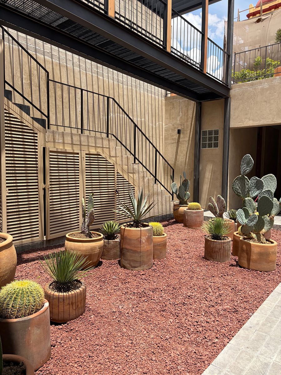Apartamento em Oaxaca Centro, Oaxaca de Juárez, foto 19 de 19